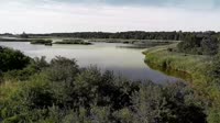 Surry - Hog Island - Wildlife Management Area