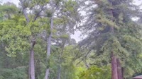 Big Sur - Big Sur River Inn