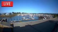 Point Roberts - Marina
