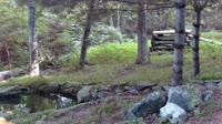 Lewisboro - Wolf Conservation Center