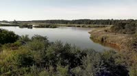 Surry - Hog Island - Wildlife Management Area