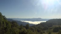 Parque nacional de las Grandes Montañas Humeantes - Purchase Knob