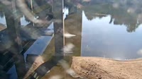 Cayce - Congaree River