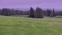 Fritz Creek - Kenai Peninsula