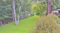 Big Sur - Big Sur River Inn