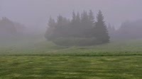 Fritz Creek - Kenai Peninsula