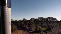 Surry - Hog Island - Wildlife Management Area
