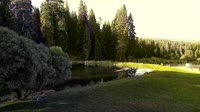 Quincy - Greenhorn Dude Ranch