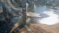Cayce - Congaree River