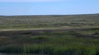 Malta - American Prairie