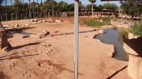 Tucson - Reid Park Zoo
