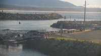 Bermagui - Marina