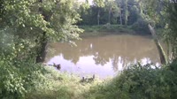 Bent Creek - French Broad River