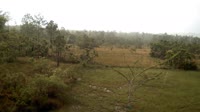 La Democracia - Monkey Bay Wildlife Sanctuary