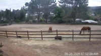 San Diego - Box de poulinage