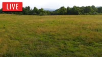 LaFollette - Hatfield Knob Elk