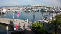 Tampa - Westshore Yacht Club Marina