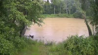 Bent Creek - French Broad River