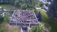 Coeur d'Alene - Osprey nest