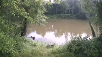 Bent Creek - French Broad River