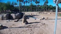 Tucson - Reid Park Zoo