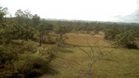 La Democracia - Monkey Bay Wildlife Sanctuary