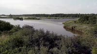 Surry - Hog Island - Wildlife Management Area