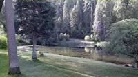 Quincy - Greenhorn Dude Ranch