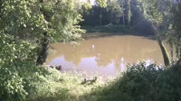 Bent Creek - French Broad River