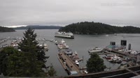 Friday Harbor - Raccolta di webcam