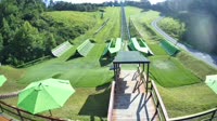 Pigeon Forge - Outdoor Gravity Park