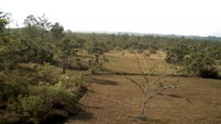 La Democracia - Monkey Bay Wildlife Sanctuary