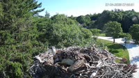 Falmouth - Waquoit Bay Reserve - Rybołów