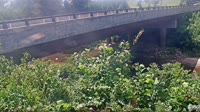 Atlanta - Peachtree Creek