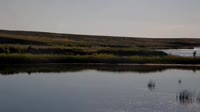 Malta - American Prairie