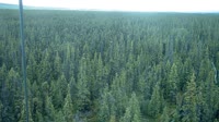 Delta Junction - Fort Greely - Taiga