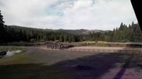 Quincy - Greenhorn Dude Ranch