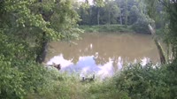 Bent Creek - French Broad River