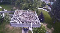Coeur d'Alene - Osprey nest