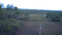 La Democracia - Monkey Bay Wildlife Sanctuary