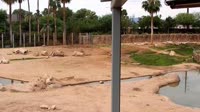 Tucson - Reid Park Zoo