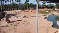 Tucson - Reid Park Zoo