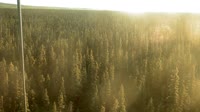 Delta Junction - Fort Greely - Taiga
