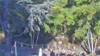 Big Sur - Big Sur River Inn