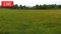 LaFollette - Hatfield Knob Elk