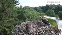 Falmouth - Waquoit Bay Reserve - Rybołów