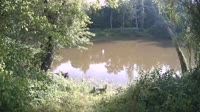 Bent Creek - French Broad River