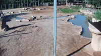 Tucson - Reid Park Zoo