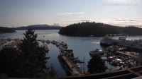 Friday Harbor - Zbiór kamer