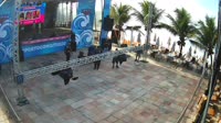 Porto Seguro - Praia de Taperapuan